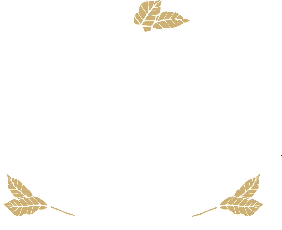 VIP Coffee Rental